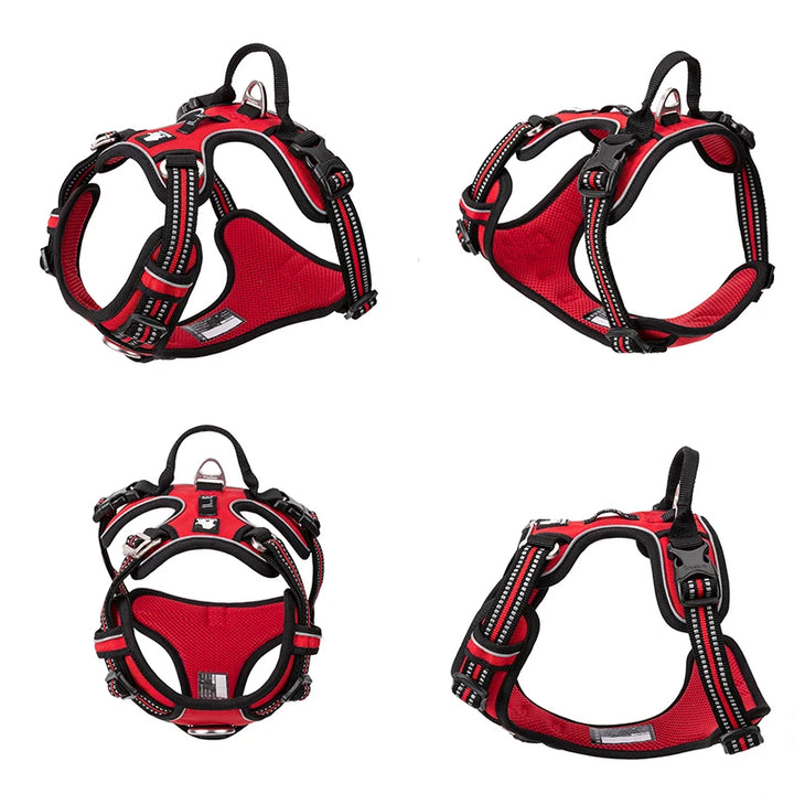 Truelove Reflective No-Pull Nylon Dog Harness