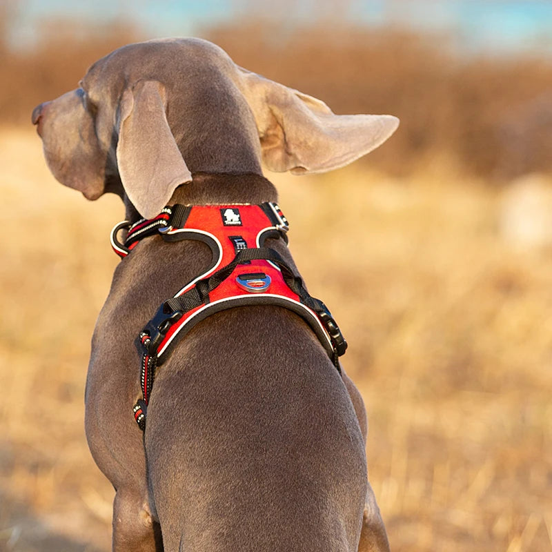 Truelove Reflective No-Pull Nylon Dog Harness