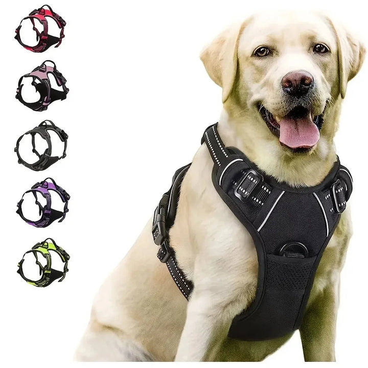 Dog Collar, Harness & Leash Set (Small & Medium)