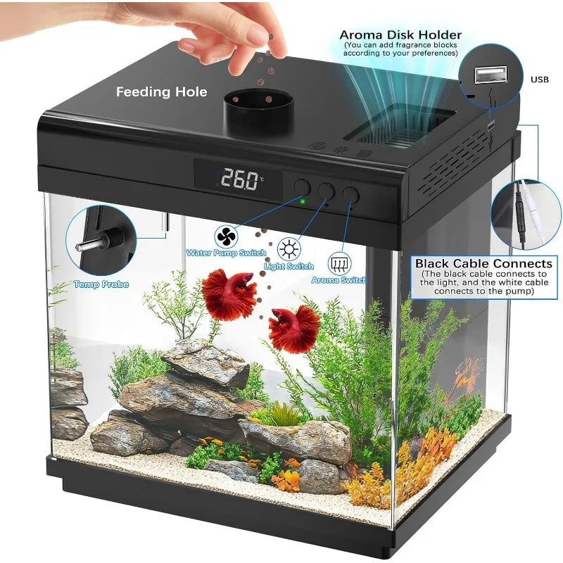 3.7-Gallon Glass Aquarium Starter Kit – Desktop Fish Tank with Filter & Light
