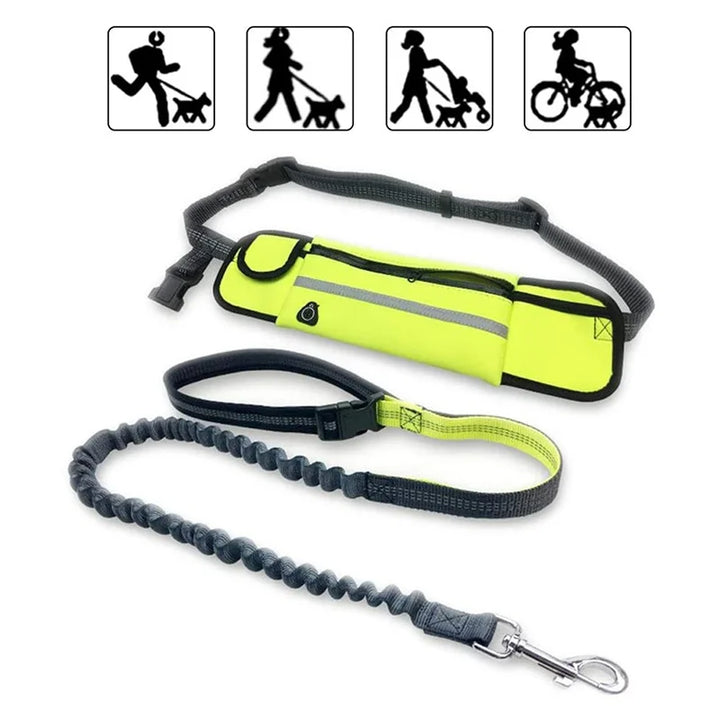 Multi-Functional Dog Leash with Running Belt & Harness