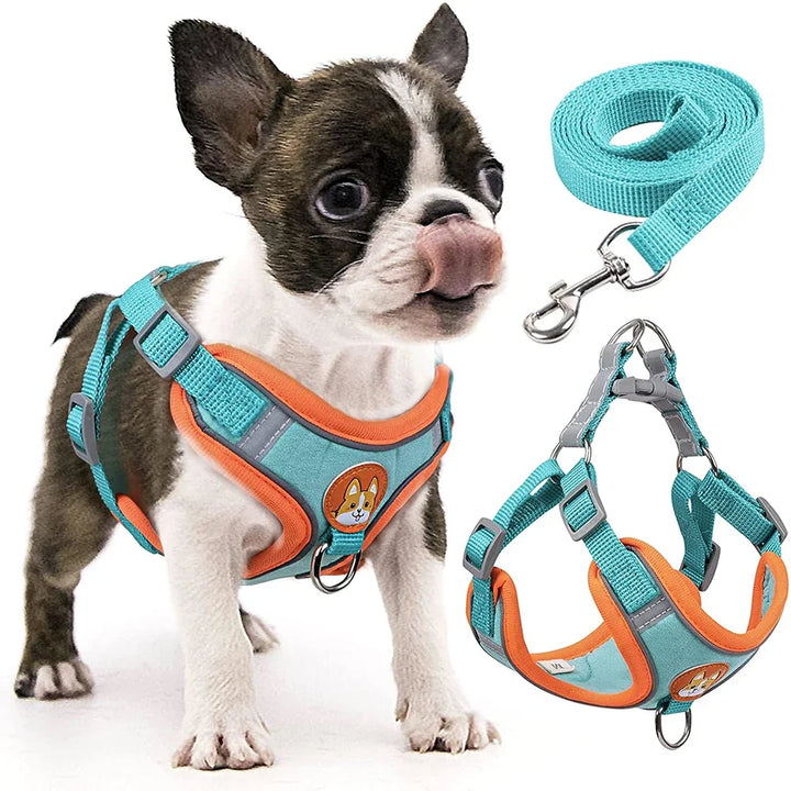 Step-in Adjustable Reflective Dog Harness & Leash Set