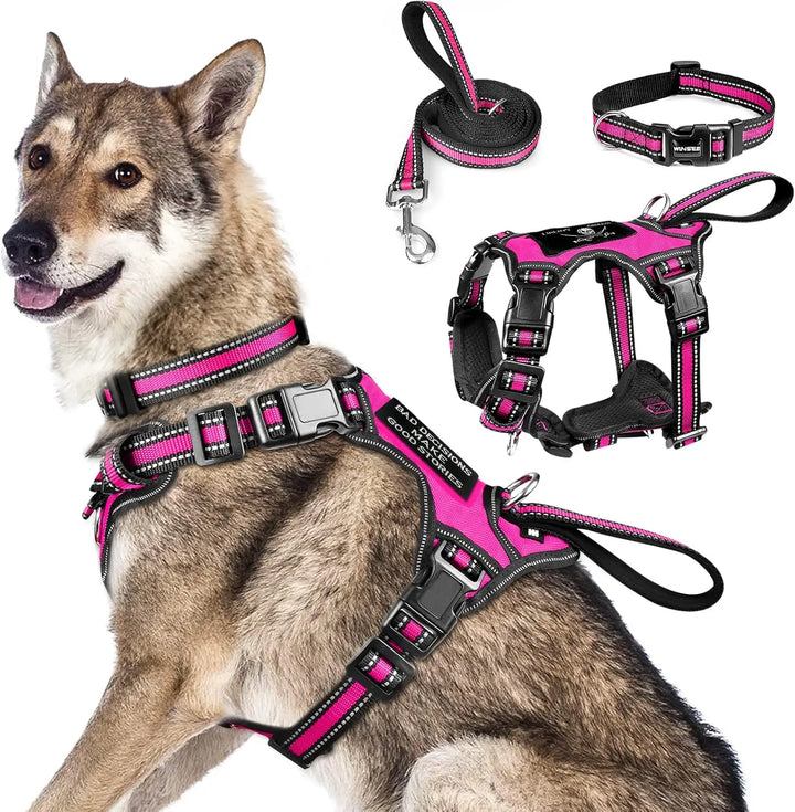 All-in-One Reflective No-Pull Dog Harness Collar & Leash Set
