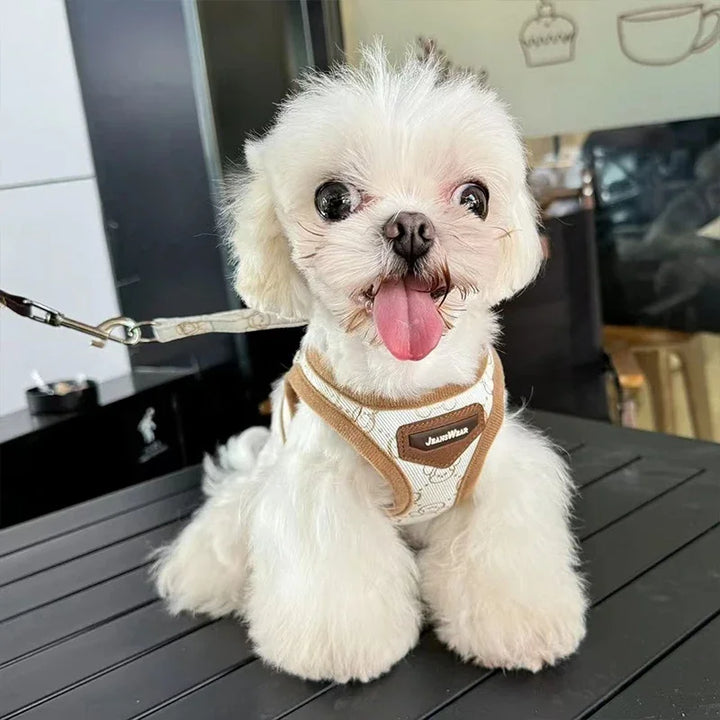 Bronzing Denim Dog Leash & Harness Kit