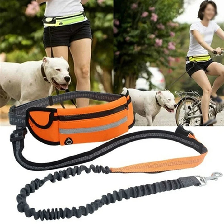 Multi-Functional Dog Leash with Running Belt & Harness