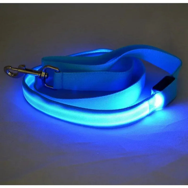 LED Flashing Dog Leash & Harness Set