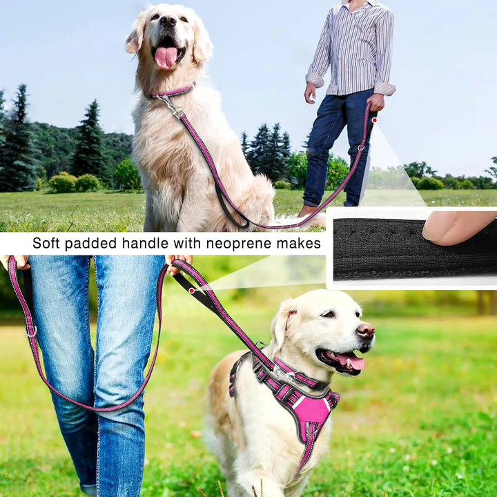 All-in-One Reflective No-Pull Dog Harness Collar & Leash Set
