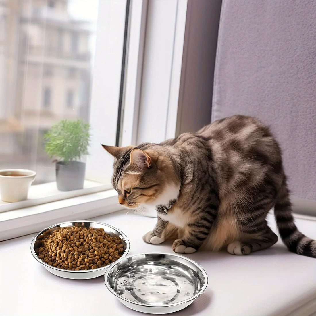 2/6pcs Slip-Resistant Stainless Steel Cat Bowls – Wide, Anti-Tip Design