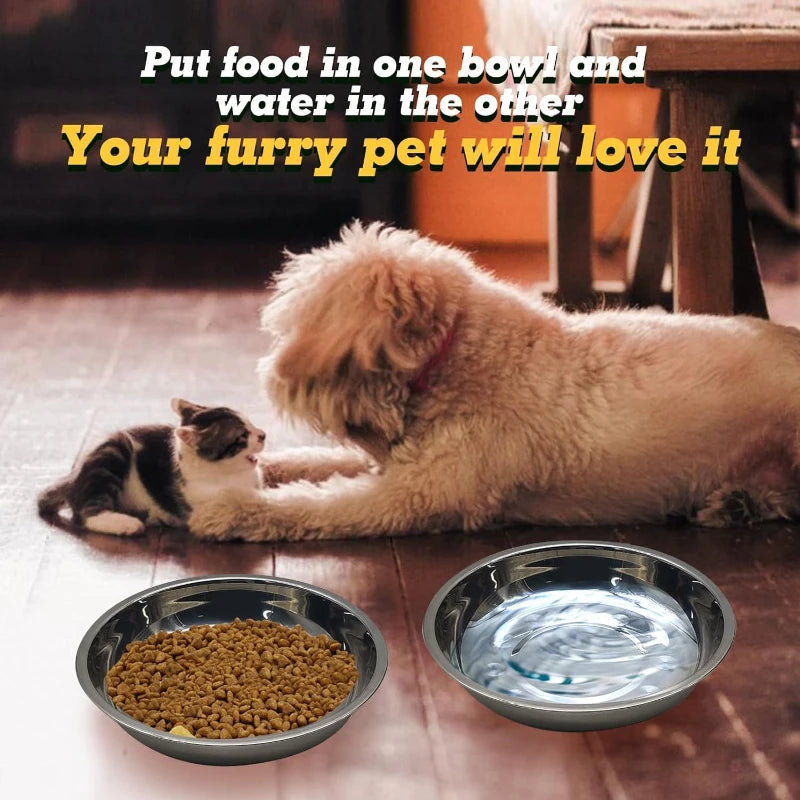 2/6pcs Slip-Resistant Stainless Steel Cat Bowls – Wide, Anti-Tip Design