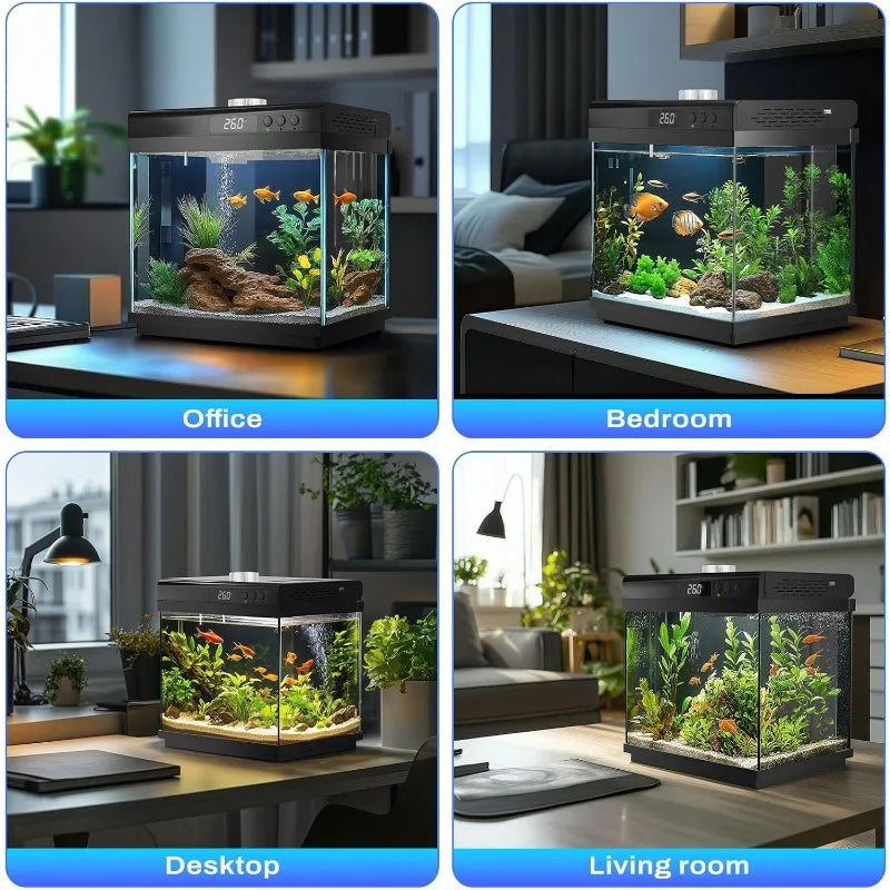 3.7-Gallon Glass Aquarium Starter Kit – Desktop Fish Tank with Filter & Light