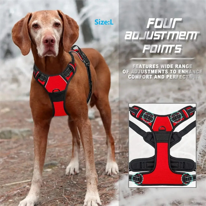 Dog Collar, Harness & Leash Set (Small & Medium)