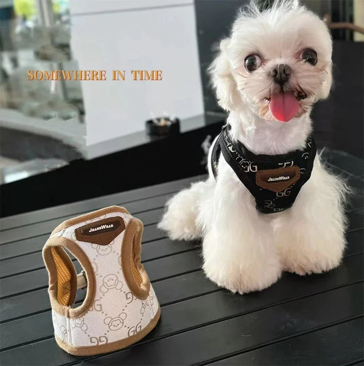 Bronzing Denim Dog Leash & Harness Kit