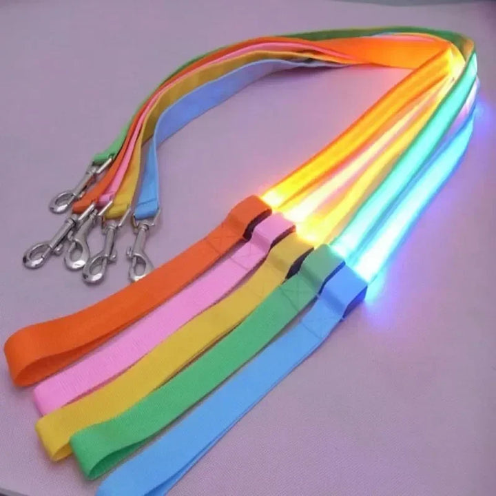 LED Flashing Dog Leash & Harness Set
