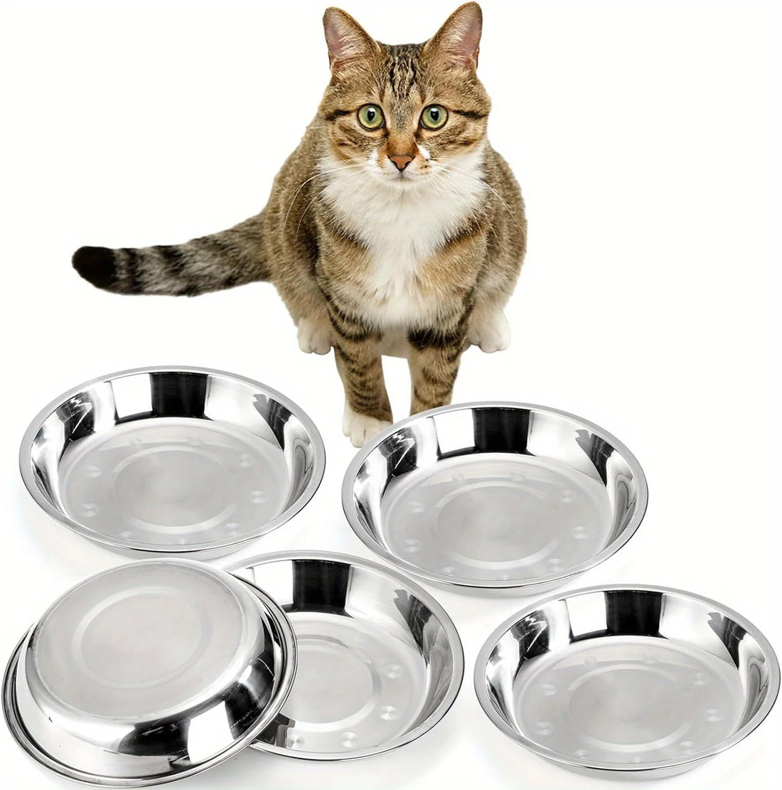 2/6pcs Slip-Resistant Stainless Steel Cat Bowls – Wide, Anti-Tip Design